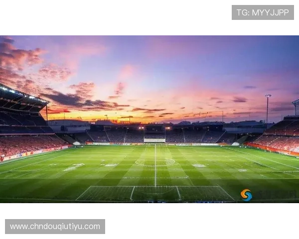 如何快速下载斗球专业版，详细指南帮你轻松开启足球竞技之旅