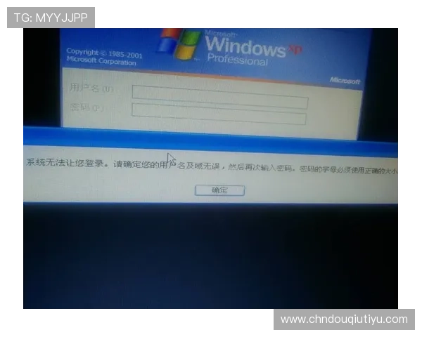 掌握斗球电脑版下载安装技巧确保顺利使用