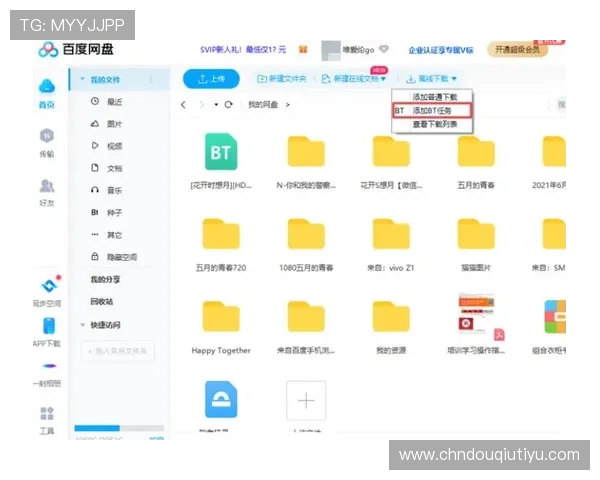 斗球电脑端下载教程最新版本，帮助用户快速掌握软件下载流程