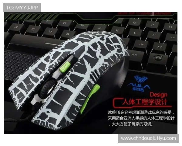 如何快速找到斗球电脑网页版入口确保顺畅游戏体验与操作指南