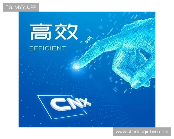 专业指导斗球体育下载电脑版安装方法，帮助用户高效完成软件设置与使用