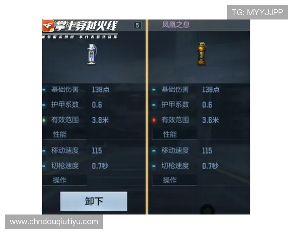 斗球vip官网入口详细攻略解析助你快速找到官方入口提升游戏体验